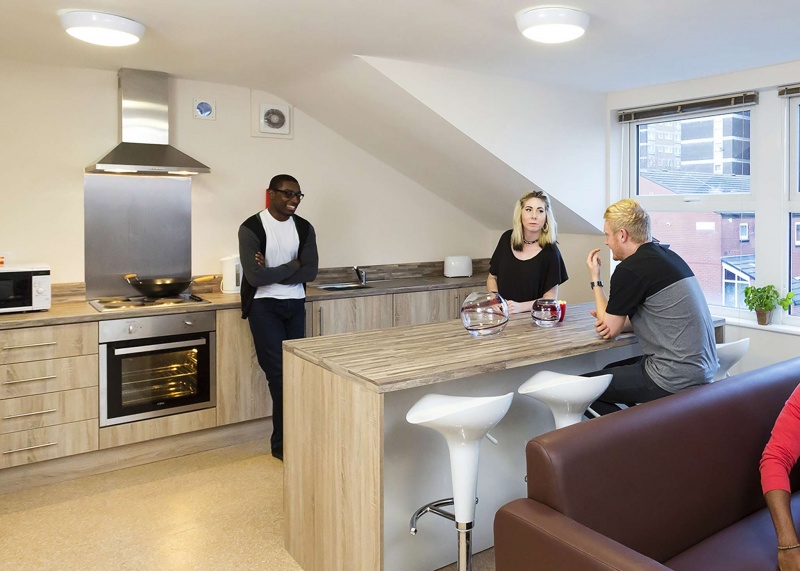 Students chatting in a modern kitchen with bright windows and a wooden counter.