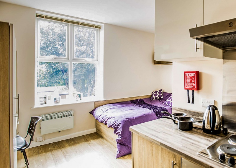 Cozy studio apartment with purple duvet, modern kitchen, and natural light.