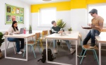Study Area