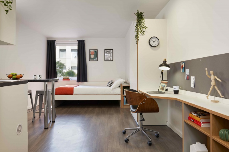 Silver Studio with a study desk, bed, and modern decor ASA Briggs