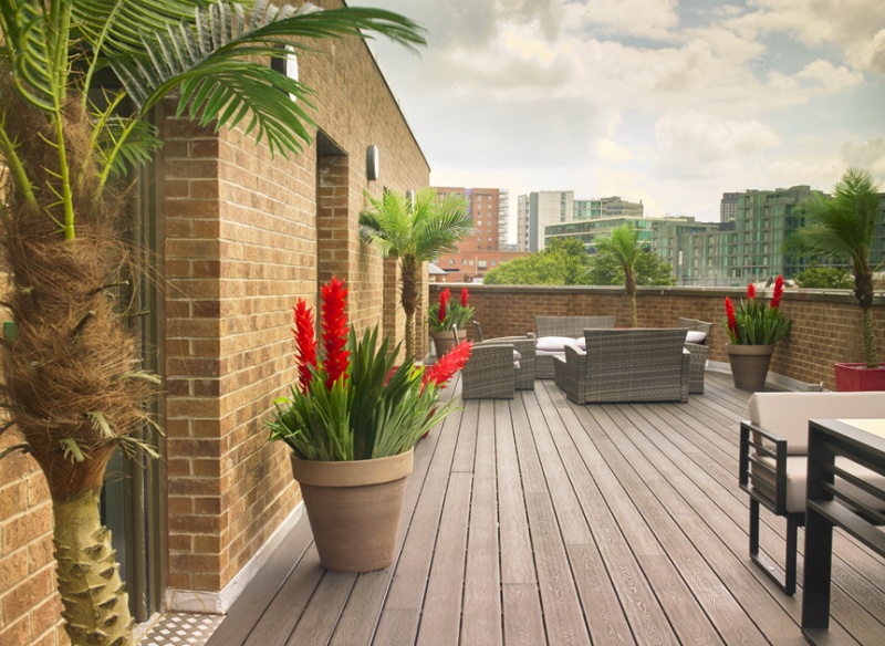 Top Terrace at Nurtur House Sheffield