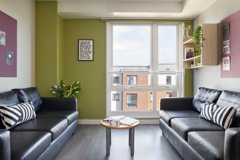 Shared Flat Common Area with big window, Sheffield student accommodation