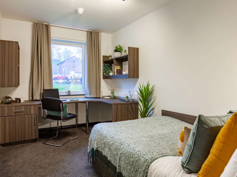 Single room decorated with earth tones, window and study table